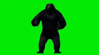 Gorilla Angry Green Screen || Chroma Key || Gorilla 🦍 Green Screen Background Video || गोरिल्ला
