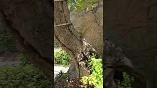 Эфес , Дом святой Марии