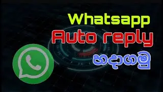 Whatsapp auto reply explaining