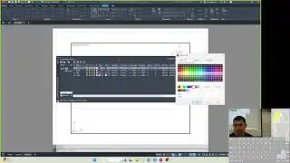 AutoCAD Colors White/Black vs 250 (black) and 255(white)