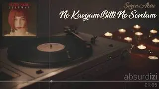 Ne Kavgam Bitti Ne Sevdam - Sezen Aksu