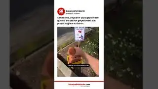 Türkiye'de uygulanabilir mi? #trafik