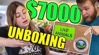 UNBOXING RARE HOGNOSE SNAKE MORPHS!! | my GIRLFRIENDS dream  REPTILE project!