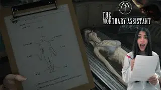 The Motuary Assistent  -  Parte 4