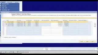 How to Use the Payment Wizard in SAP Business One.mp4