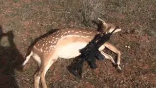 2011 Opening Weekend Kills