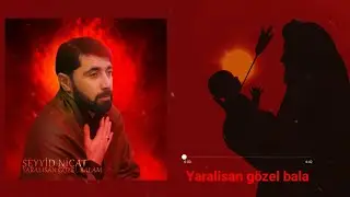 Seyyid Nicat - Yaralisan gözel bala 2024 (Yeni Mersiyye) #muherremalbom #trend #seyyidnicat
