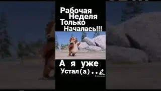 Тик Ток:Рабочая неделя только началась,а я уже устал🤣