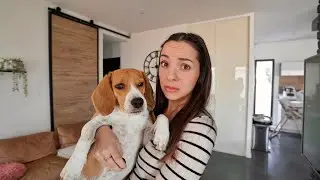 WEEKLY VLOG - Je suis épuisée.