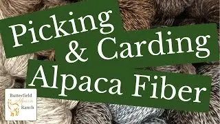Picking & Carding Alpaca Fiber (Fleece)