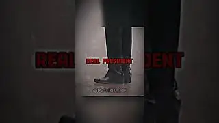 Real President 🇷🇺 
