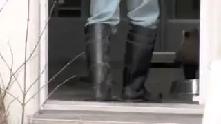 Red Panda gets scared by zookeeper