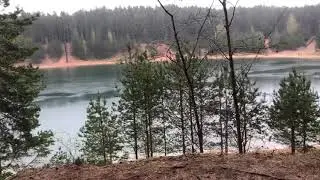 Промокли под дождем в лесу