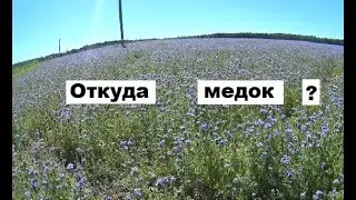 Мощный взяток в начале июля