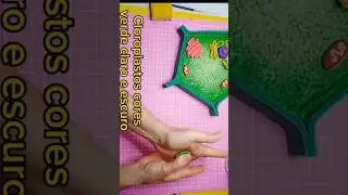 COMO FAZER UMA CÉLULA VEGETAL #MAQUETE