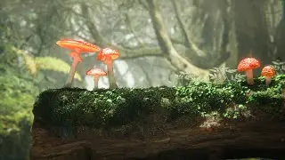 Moss and Mushroom: Environment Speed Modelling in Blender
