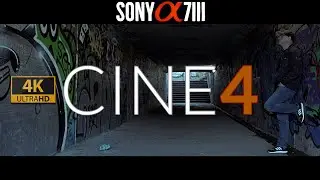 Sony Alpha 7III - Cine 4 PP6 - TEST