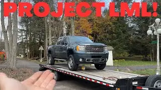 Diagnosing This Marketplace LML Find (Great Deal!)
