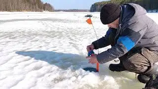 И опять рыбалка на жерлицы. Щука есть, есть щука. Рыбалка на Боровом. 