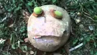 Meet Mr.Peaches