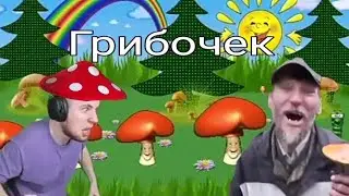 ТИК ТАК ЛЮБИТ ГРИБЫ😅😂🤣
