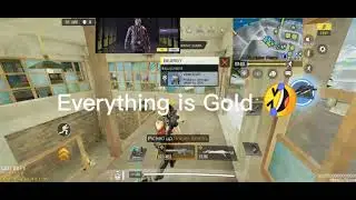 Why is Every item In Br gold?
