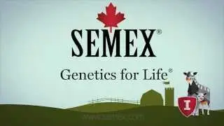 SemexImmunity+.mp4