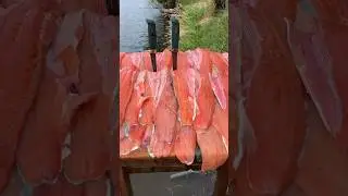 Нарезал не много рыбки . #fishing #рыбалка #голец #кижуч #fish #salmon #кунджа #сима