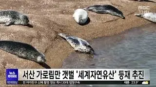 서산 가로림만 갯벌 세계자연유산 등재 추진/대전MBC