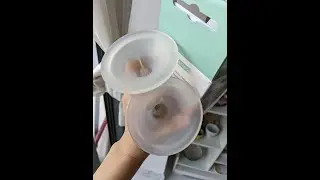 CẢI THIỆN LƯỢNG SỮA NHỜ PHỄU LACTECK