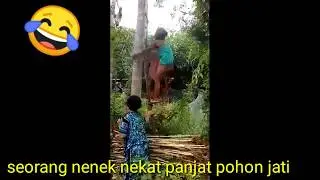 Berita viral..nenek tua nekat panjat pohon