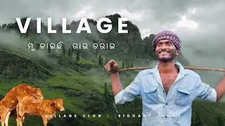 Mu Jaichi Gai Charai  || ମୋର ଆଜି ଗୋଠ ପାଳି 🌴🐄