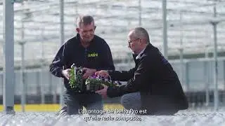 Delta Pro at grower Baas | French