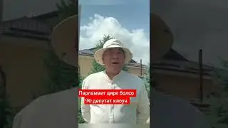 Жогорку кенеш цирк, депутат клоун 😱💯😀
