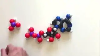 A molecule of ATP made with μsnatoms
