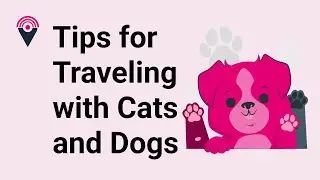 Going Digital with Fido: Can Families with Pets Become Digital Nomads?