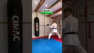Taekwondo vs karate 