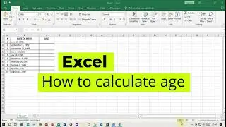 How to Calculate Age Using YEARFRAC() and INT() Functions: Excel Tutorial
