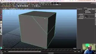 Splitting Polygons