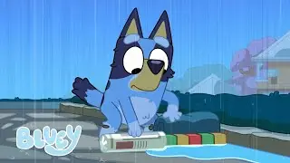¿Puede Bluey construir una presa? | Lluvia | Bluey Español Canal Oficial