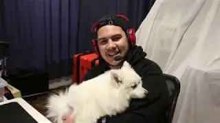I Have A Cute Dog | Rainbow Six Siege