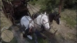 Fans expectations vs Red Dead Online Updates