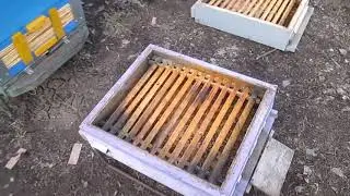 Замена доньев в ульях после зимовки