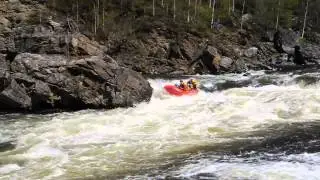DVB29