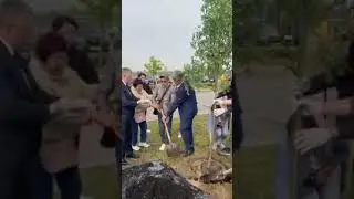 Аллея Воинской Славы.22.05.2023.