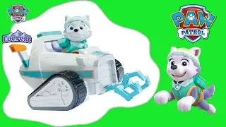 Paw Patrol Everest Rescue snowmobile