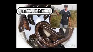 Di tim bat nhung con lich nuoc man p4,ca mau que toi