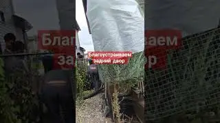 #жизньвканаде #ottawablogger #домвканаде #купилидом #бассейн