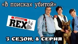 Комиссар Рекс, 3 сезон, 8 серия «В поисках убитой»