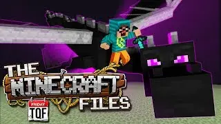 The Minecraft Files 